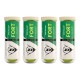 DUNLOP Fort All Court Tennis Ball (12 Balls)