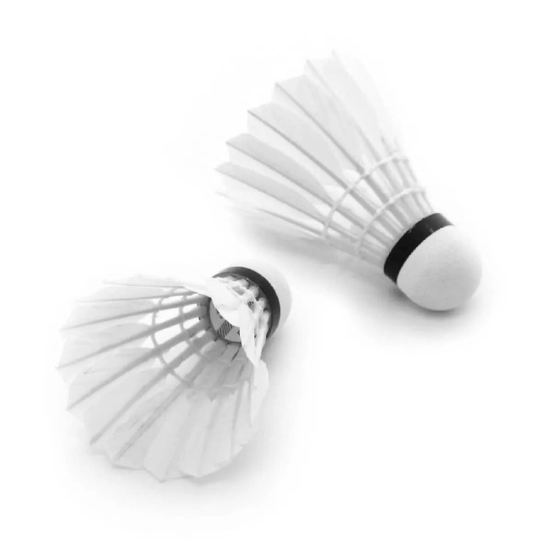 LI-NING Champ Badminton Shuttlecock