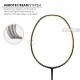 LI-NING Wind Lite 900 II Badminton Racquet (Black/Gold, Unstrung)