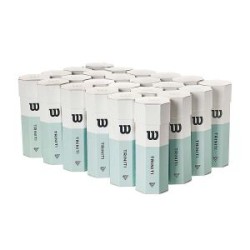 WILSON Triniti All Court Tennis Ball Carton (72 Balls)