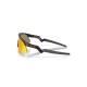 Oakley Red UV Protection Rectangular Unisex Sunglasses