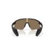 Oakley Gold UV Protection Rectangular Unisex Sunglasses